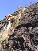 Owen leading the last pitch of Junglescope (13).