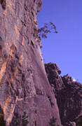 Climber on Up Up and Away grade 18, Mt Difficult. Photo By Neil Monteith.